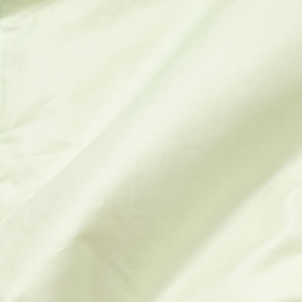 Nishikawa Wedgwood Down Half Blanket, 150x100cm, Washable, 50% White Duck Down, Wild Strawberry Pattern, Soft, Made In Japan, Green, AA77600003