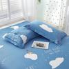 Set of Two 100% Cotton Adult Pillowcases, 48x74cm Standard for Double Bed