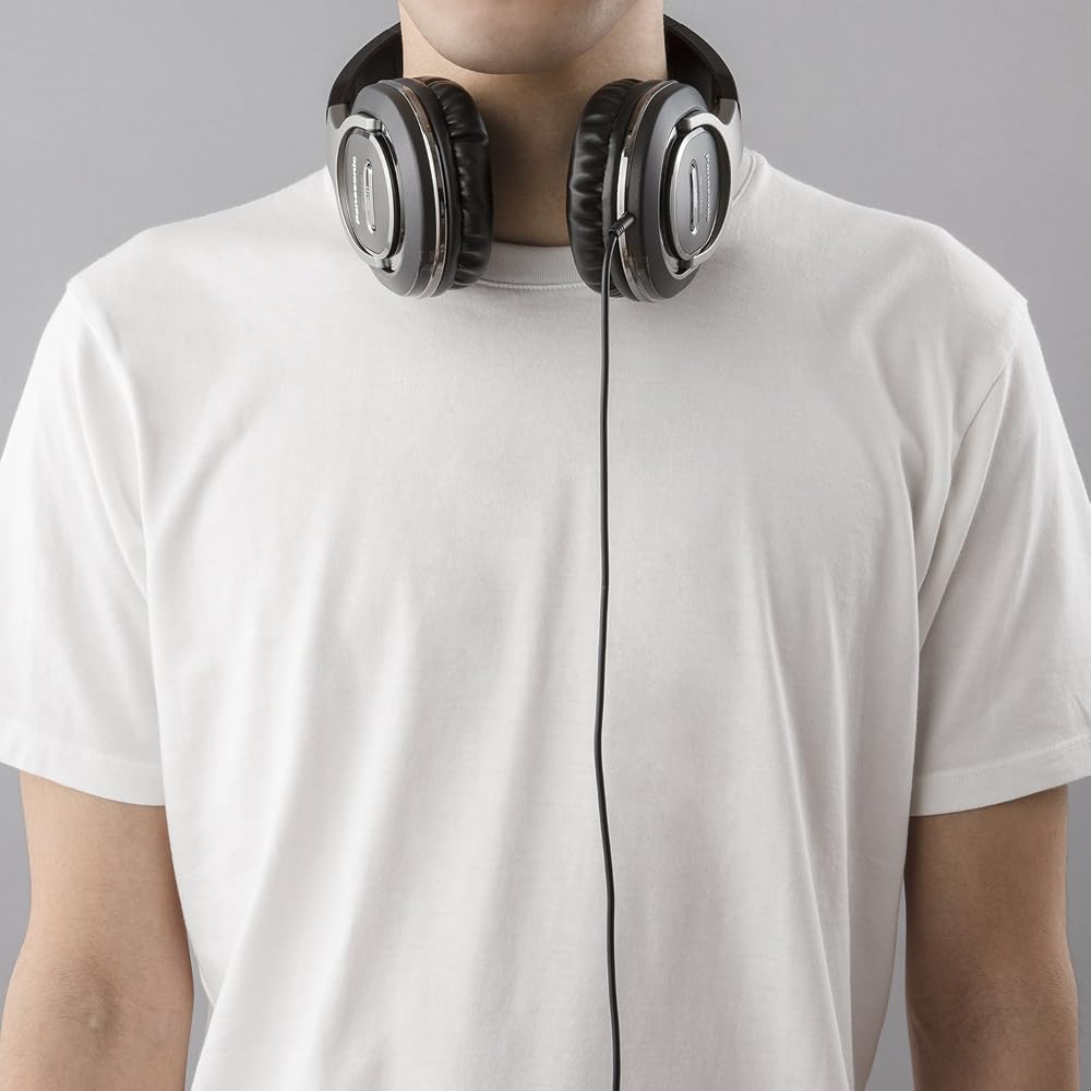 Panasonic Closed-Type Headphones, Silver, RP-HT560
