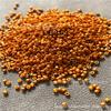 Japanese Miyuki Solid Color Beads, DIY Embroidery Material (DB651-665)