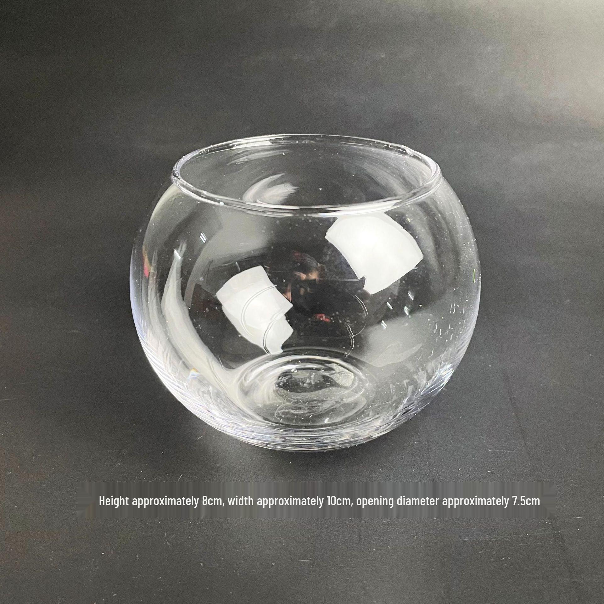

Angled Opening Round Glass Goldfish Bowl Vase for Succulents and Moss Micro Landscape