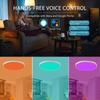 Smart Rgb Round Ceiling Light Fixture Spotlight Warm/white Lamp Dimmable Led Bluetooth Or Wifi 16 Colors Night Home Decor Lights