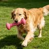 Stachelige Hundekau Spielzeug Hundezahnreinigung Spielzeug Sichere Hundezahnbürste Spielzeug für Welpen Zahnen Aggressive Kauer Mundgesundheit