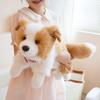 40/50CM Four Colours Border Collie Collar Style Plush Toys Soft Stuffed Puppy Doll Funny Accompany Toys for Kids Gifts