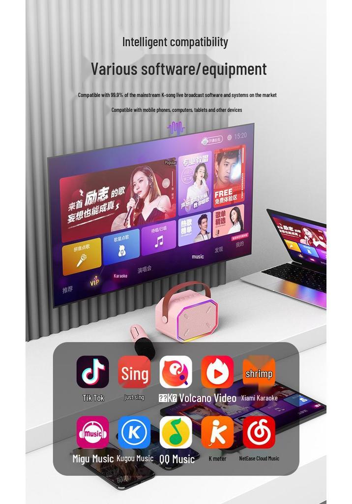 P3 Bluetooth Mini Speaker with Wireless Microphone for Home Karaoke