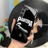 Pantera Ritual Metal Band Phone Case for Samsung Galaxy S24 S23 S22 S21 S20 A24 A34 A54 A53 Note20 M54 Fe Ultra Plus Glass