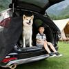 Insect Proof Magnetic Car Trunk Mosquito Net Car Tailgate Mesh Curtain  Self Driving Tour