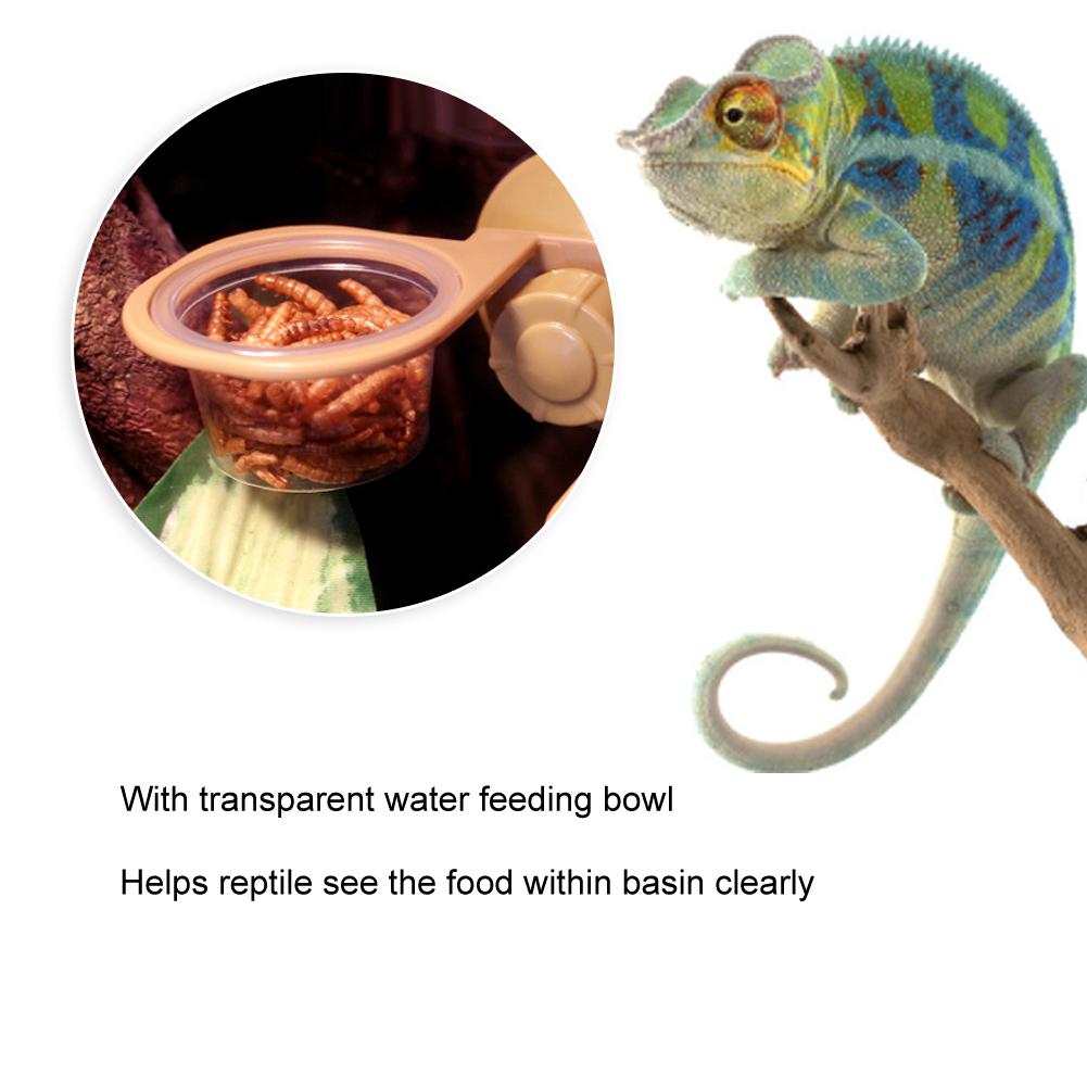 ABS Plastic Pet Reptile Suspension Food Feeder Fixed Hanging Water Breeding Bowl Feeding ToolDouble Bowl