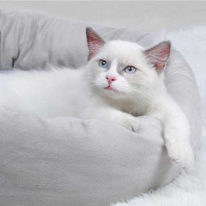Buy Pet Nest Dog Cat Calming Warm Bed Pillow Soft Plush Sleeping Mat