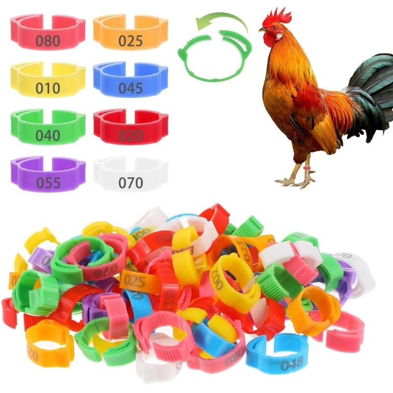 100 Pezzi Forti Marcatori in Plastica per Zampe per Polli e Anatre in 5 Colori Diversi