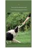 Bite-Resistant Elastic Frisbee Tug Toy for Medium and Small Dogs - Interactive Training for Golden Retrievers and Border Collies.