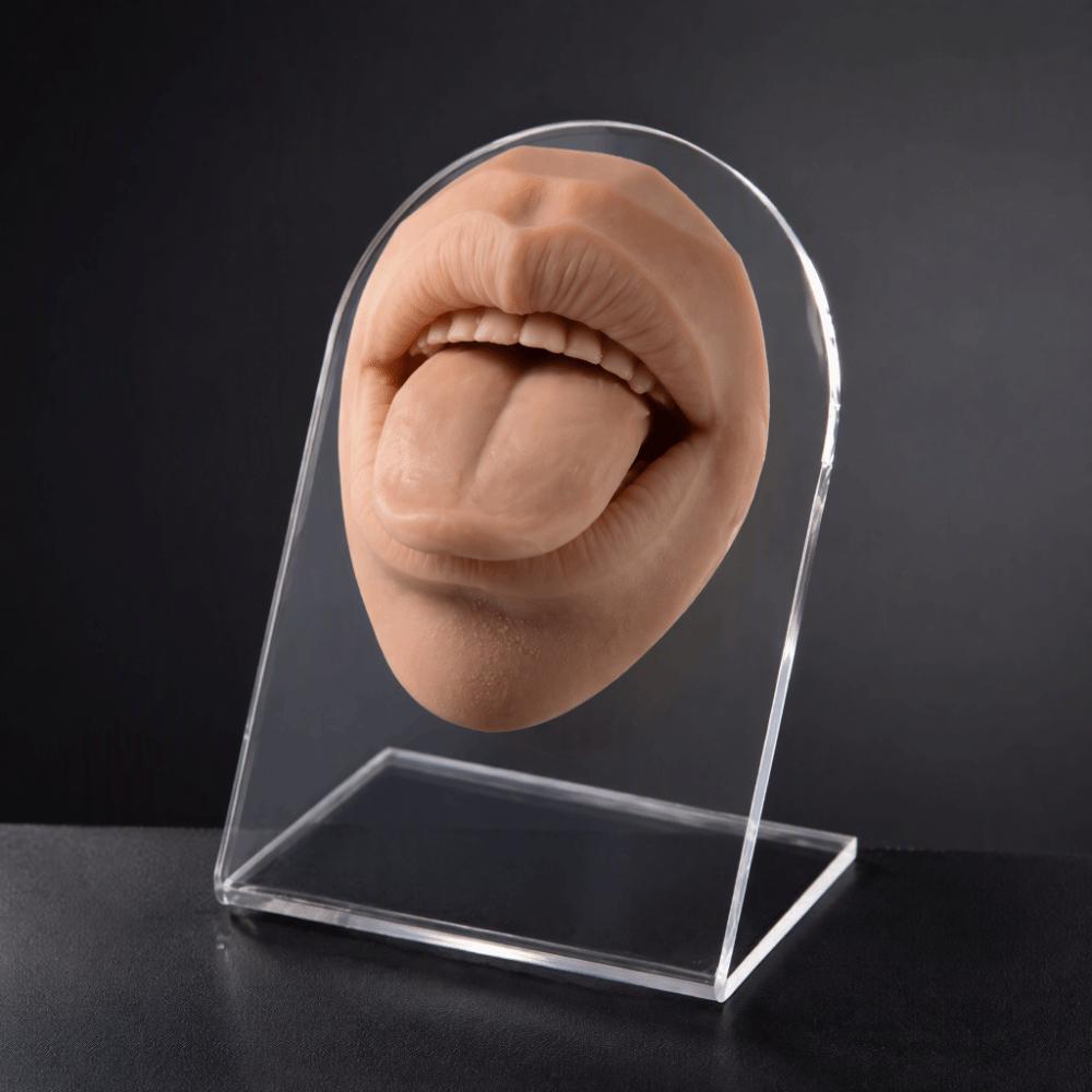 Leichtes Lippen- und Zungenmodell Silikon-Lippenpiercing-Displayständer Mädchen Frauen