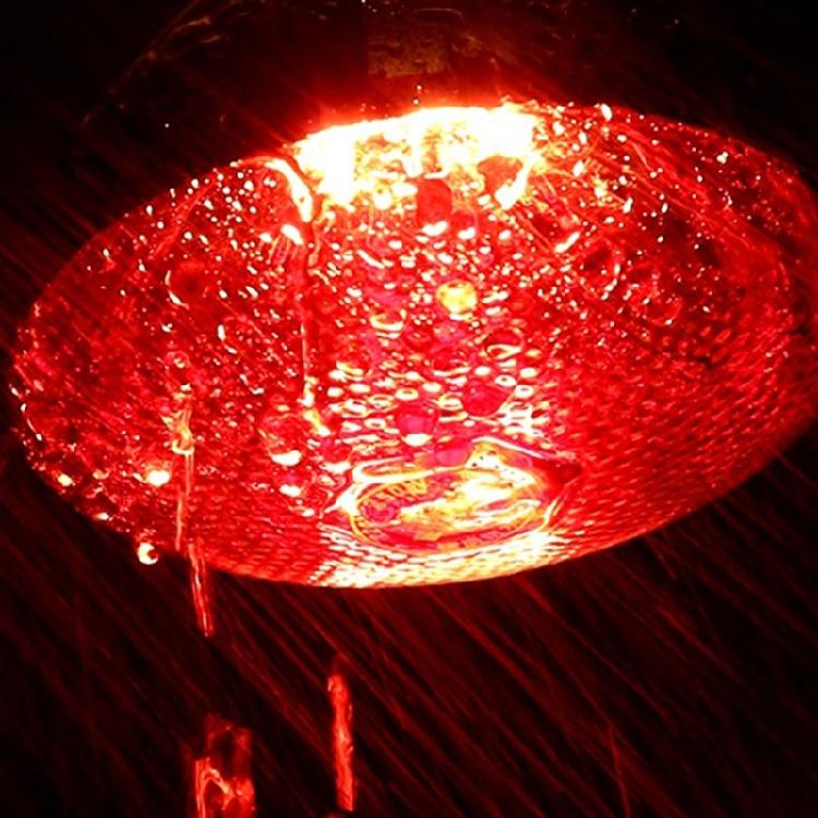 2pcs 250W Heat Lamp Red Light for Piglets Baby Chicken and Small Animals with E26 Base