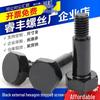 Black M5/M6 Hex Socket Head Cap Screw with Equal Height Shoulder