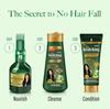 Kesh King Anti-Haarausfall Shampoo mit Aloe Vera und 21 ayurvedischen Kräutern für alle Haartypen Frauen Männer 340ml Nährende Formel