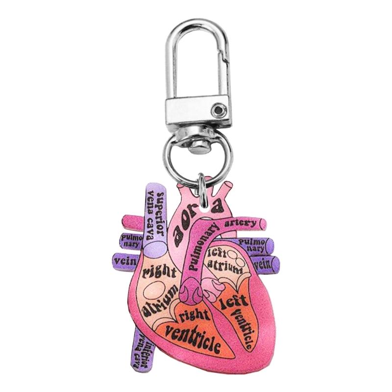

Unique Human Heart Keychain High Quality Heart Keychain for Raising Awareness in Physical and Scientific Communities