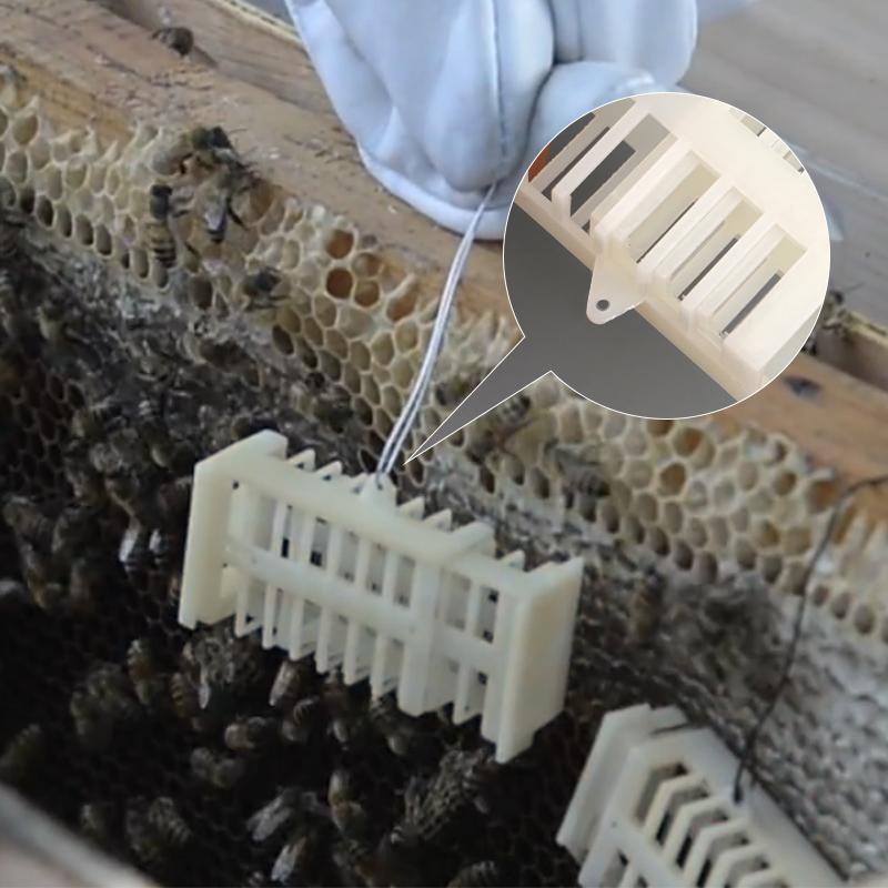 10/30pcs Beekeeping Queen Bee Rearing Cage Extension Bees Tools Anti Escape Cages Cup Plastic Cell Supplies Apiculture Equipment