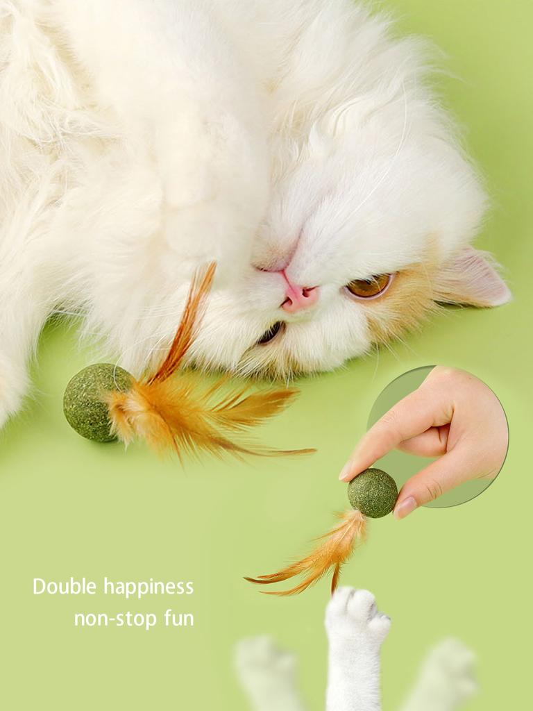 Cat Toy Ball Feather Funny Cat Mint Ball Plus Feather Mint Ball Throwing Toys Interactive Plush Toys Catnip Pet Supplies