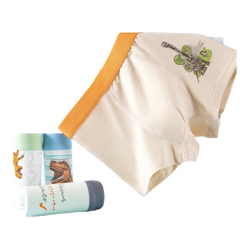 Hongdou Boys Pure Cotton Antibacterial Dinosaur Boxer Briefs 110