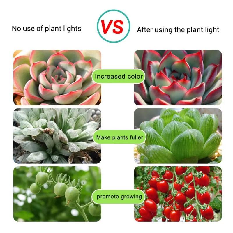 5V LED Plant Grow Light Full Spectrum Phyto Lamp 1m 2m 3m 4m 5m Strip For Seeds Flower Greenhouse Tent Hydroponic Plants Lighting