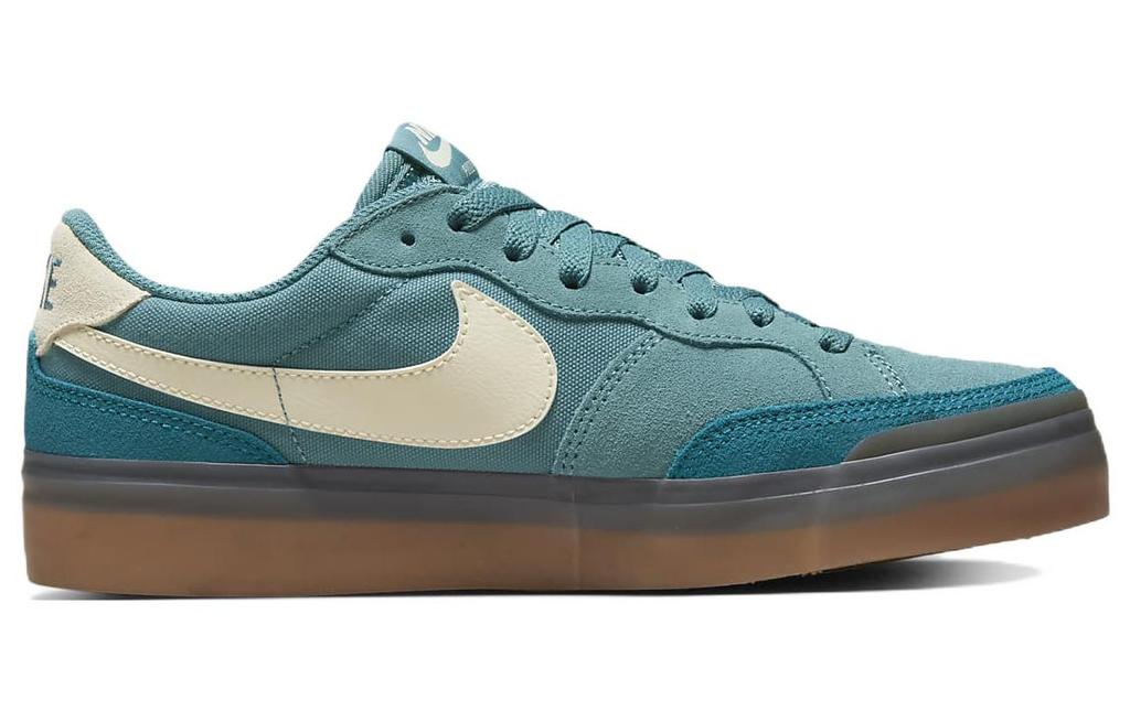 Nike Sb Zoom Pogo Plus Noise Aqua Women's DV5469-401
