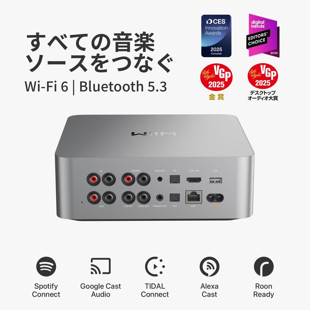 WiiM Ultra Music Streamer Digitaler Vorverstärker Touch Google Cast und Alexa streamen Amazon Tidal und mehr HDMI-Phono-Eingang Kopfhörerausgang Silber [Direkt