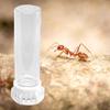 Ant Farm Water Feeder Transparent Pet Farm Water Bowls Leakproof Portable Ant Nest Accessories Heavy Duty Feeding Station For