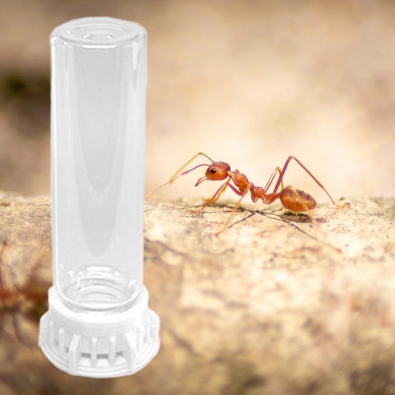 Ant Farm Water Feeder Transparent Pet Farm Water Bowls Leakproof Portable Ant Nest Accessories Heavy Duty Feeding Station For
