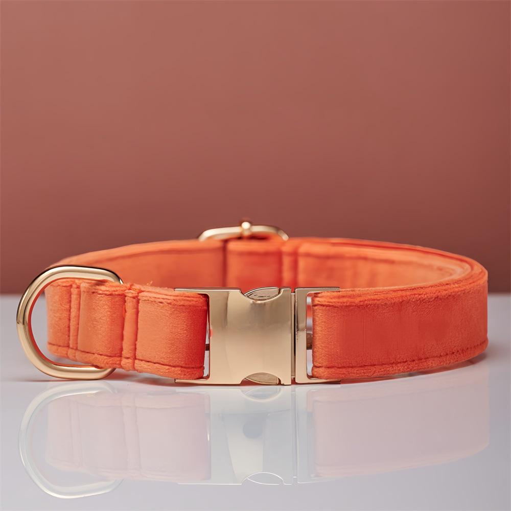 Ensemble collier et laisse pour chien en velours gravé avec boucle métallique réglable