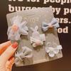Korean Baby Butterfly Hairpin Set for Girls – Cartoon Flower Bang Clip Accessories