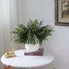 Real Touch Norfolk Pine Branch Artificial Christmas Green Plants Branches Faux Greenery Stem Fake Cedar Pine Picks for Vase