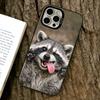 Cute Raccoon Phone Case For iPhone 17,16,15,14,13,12,11 Plus,Pro Max,XS,Colored Silver Plated Inside Cover
