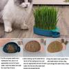 Hierarchical Design Cultivation Sprouting Tray Creative Cat Grass Planting Hydroponic Sprouting Plate Reusable Convenient