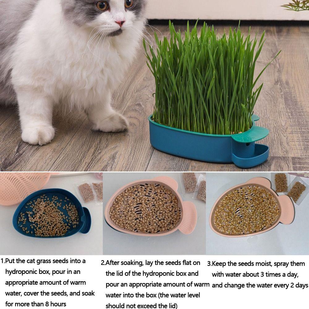 Hierarchical Design Cultivation Sprouting Tray Creative Cat Grass Planting Hydroponic Sprouting Plate Reusable Convenient