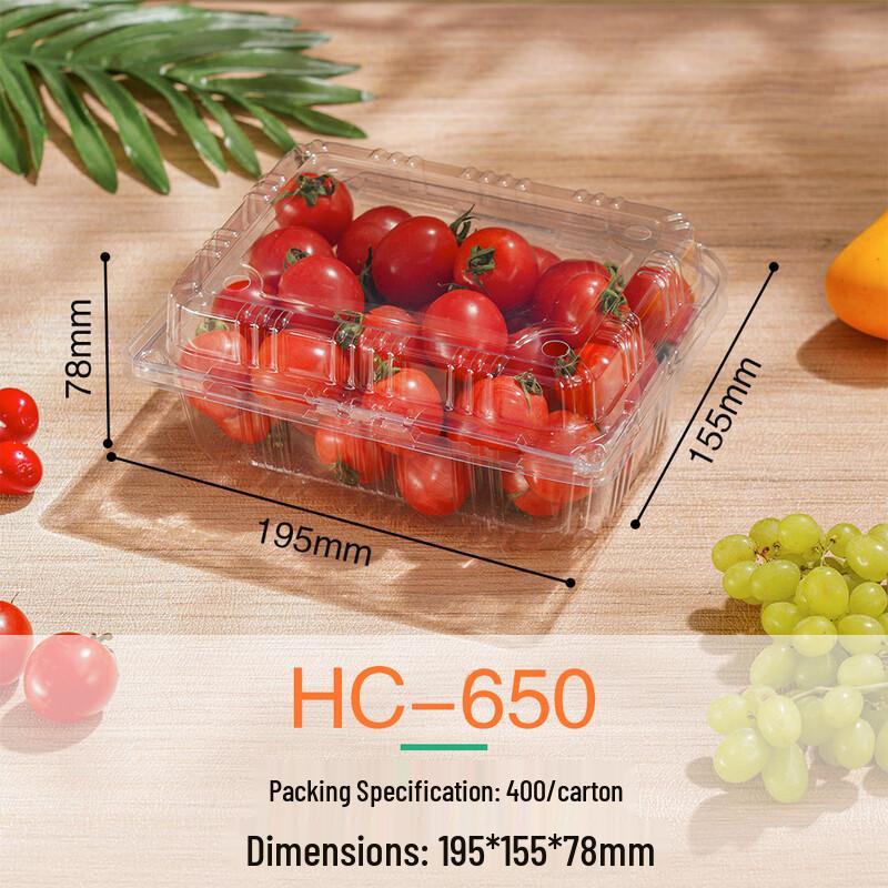 Clear Rectangular Disposable Food Containers with Lids