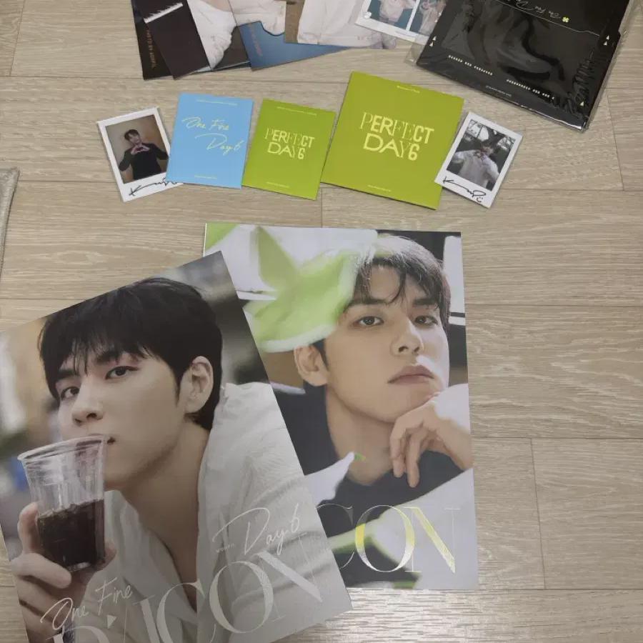 

Day6 D-icon Wonpil