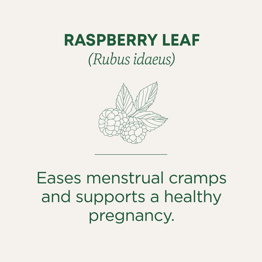 Organic Raspberry Leaf Tea, 16 Bags by Traditional Medicinals Teas