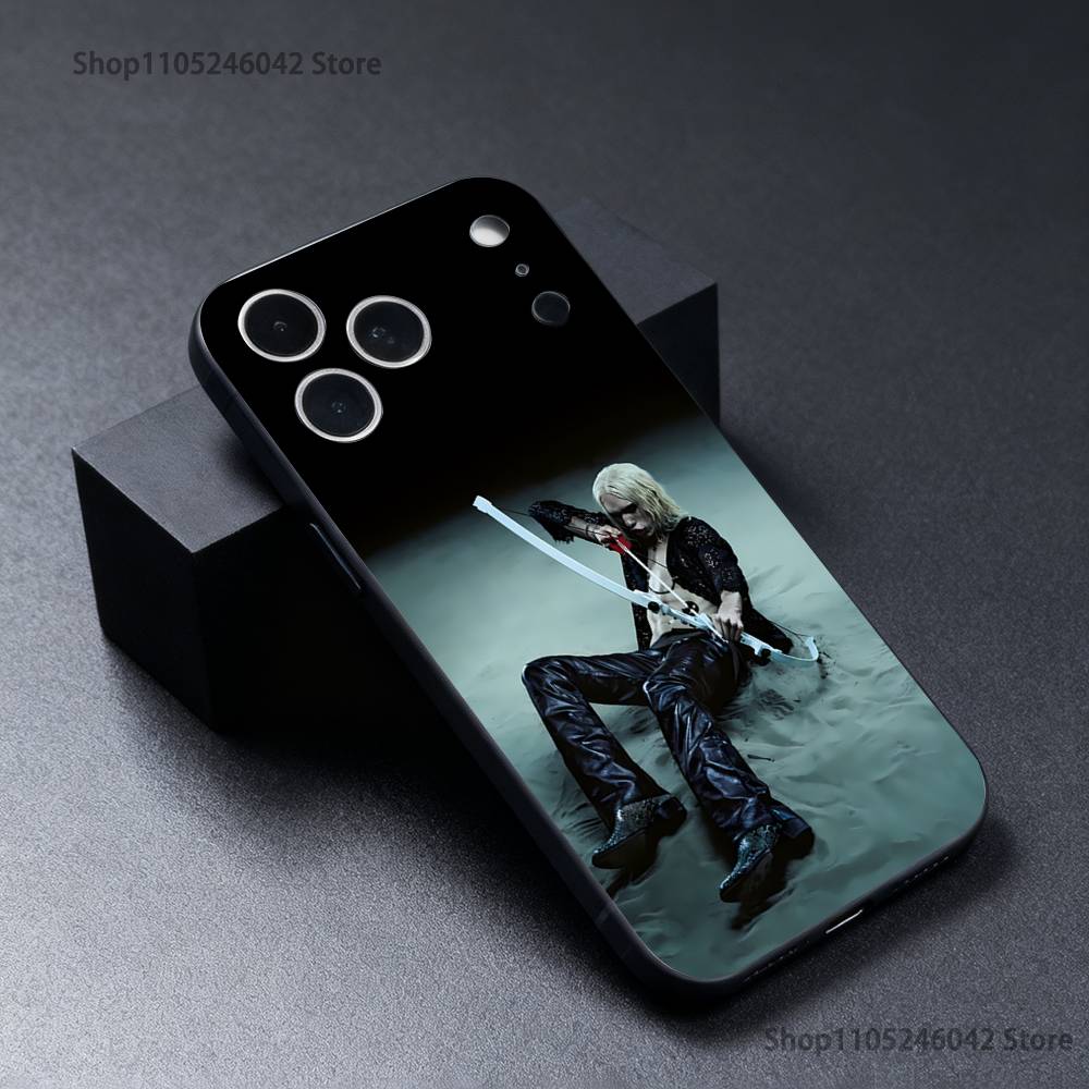 

2hollis 2 poster boy Phone Case For iPhone 17,16,15,14,13,12,11,Pro,XS,Max,XR,Plus,E,SE4,Mini Black Soft Cover iPhone13PRO