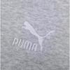 Puma Casual Hoodie Bz Cc Tr Vintage Hooded Fashion Pullover Long Sleeve Sweatshirt Unisex hoodies Gray 625534-04