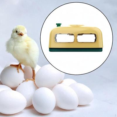 Incubadora de ovos resistente e leve para chocar ovos de pássaros, gansos, patos, amarelos e verdes