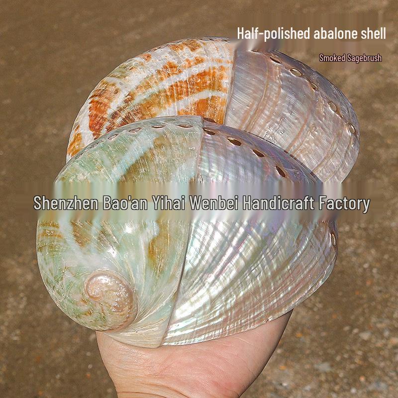Guscio di Abalone Naturale per Arredamento Casa, Acquari, Paesaggistica e Bruciare Salvia