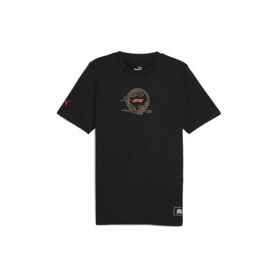 Graphic Print Crew Neck Loose Fit Short Sleeve T-Shirt Men Tops Black 627832-01