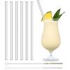 HALM Glass Straws - 6x 9 Inch Reble Drinking Straws + Plastic-Free Cleaning Brush - Made In Germany - Dishwasher Safe - Eco-Friendly - Straight -