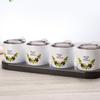 Wutuo Covered Round Printed Seasoning Box Set