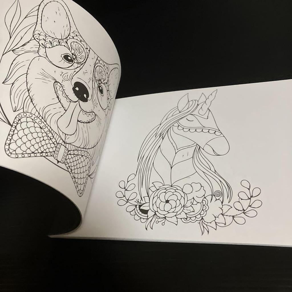 [USED] Western books, coloring books