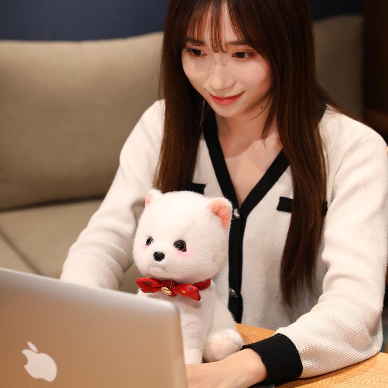 Simulation Pomeranian Dog Doll Cute Bichon Dog Little White Dog Doll Plush Toy Children And Girls Pet Doll