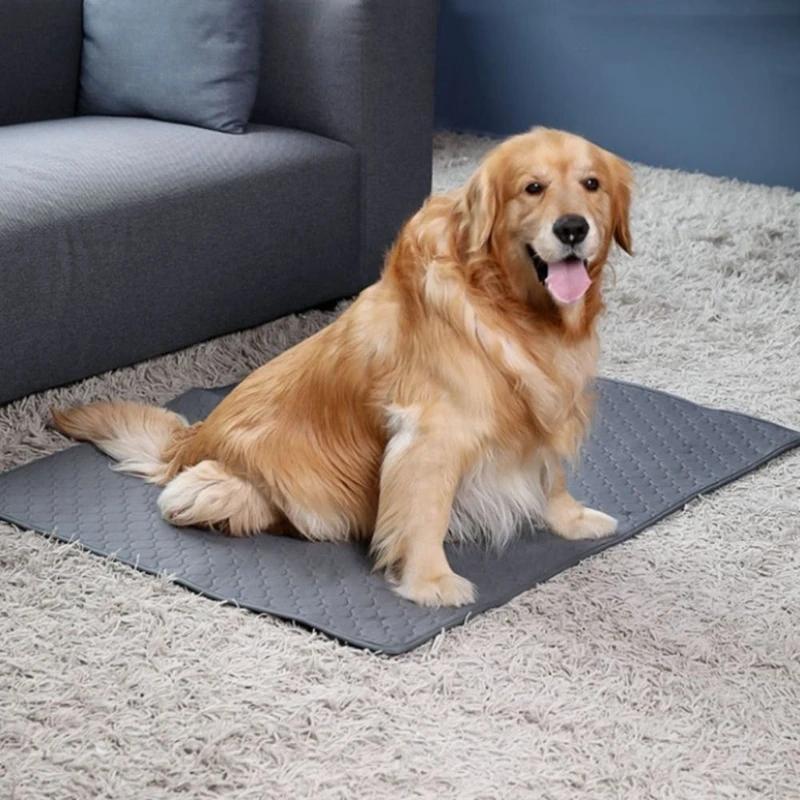 Washable Reusable Dog Pee Pad, Anti Slip Breathable Training Mat For Pets, Absorbent Waterproof Urine Pad Puppy Pet Training Mat