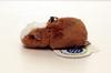 Guinea Pig Mascot BR