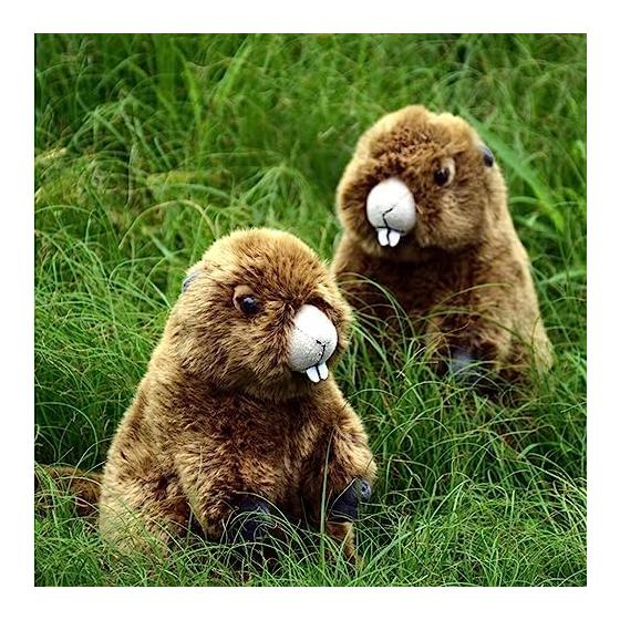 lilizzhoumax Realistic Groundhog Plush Super Soft Groundhog Stuffed Animal Toys for Girls Gifts for Kids Brown 9 inch