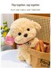 Peluche Cane Teddy Carino - Peluche per Matrimoni e Compleanni di Bambini
